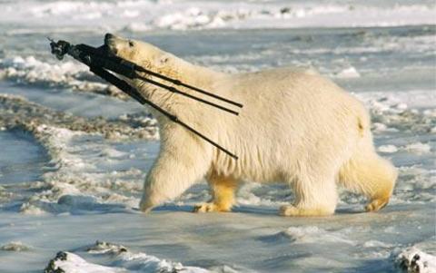 20100415 북극곰, 삼각대.jpg